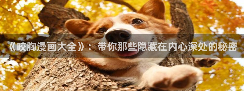 禁漫天堂图标