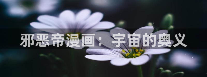 禁漫天堂网页版.